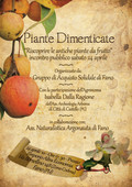 PIANTE DIMENTICATE