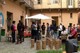 La nuova coabitazione ecologica arriva in Italia