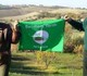 Il premio: la Regione fà incetta di "Bandiere verdi"
