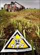 Gli ogm : + 10,7% nel 2008 