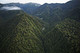 Dalle auto ibride alle foreste i falsi miti degli ambientalisti