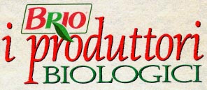 Pubblicato il bilancio del 2007 della BRIO