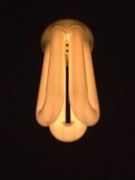 lampadina